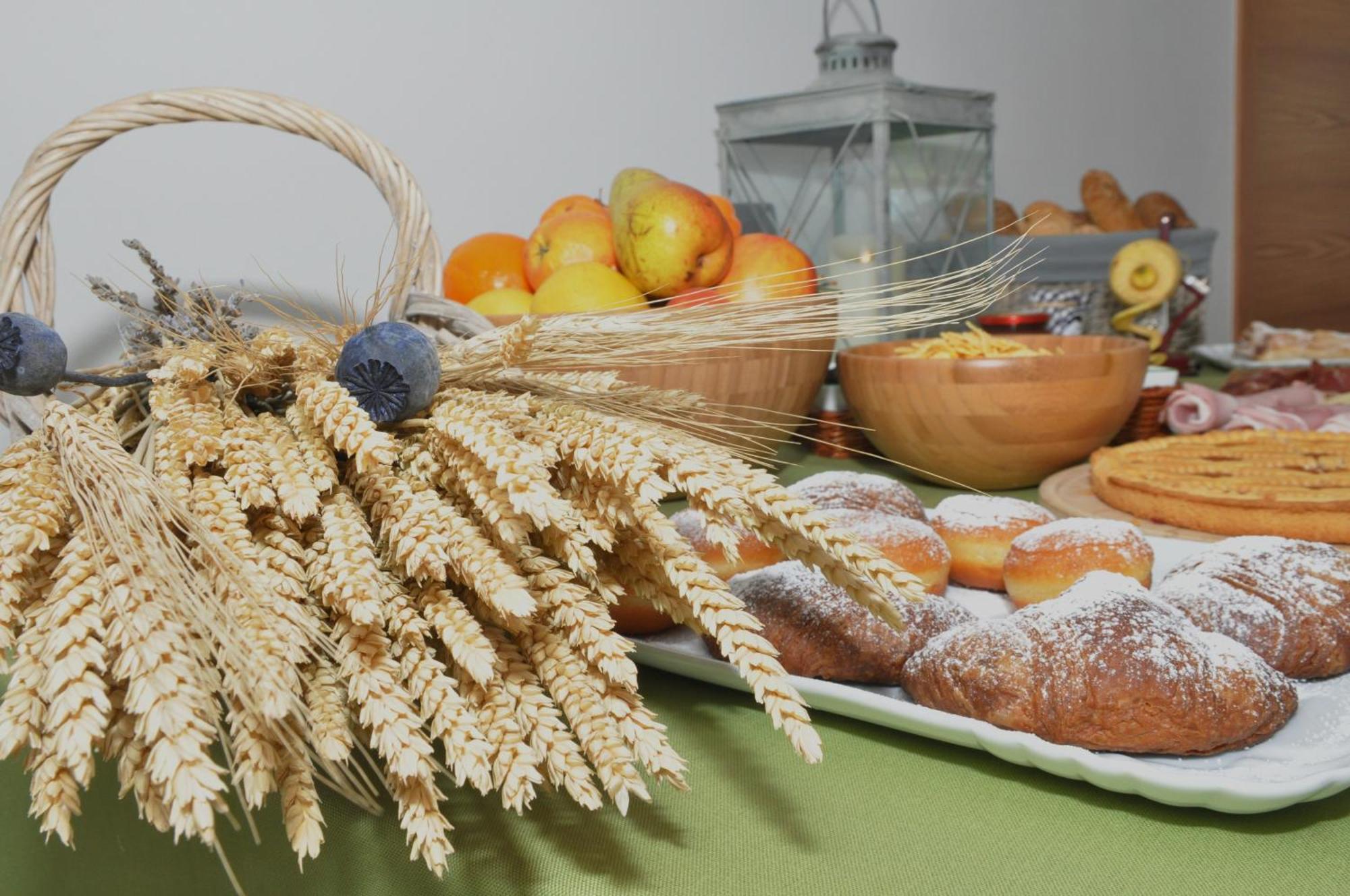 Bed and Breakfast Garni Dal Mozat Lenzumo di Concei Zewnętrze zdjęcie